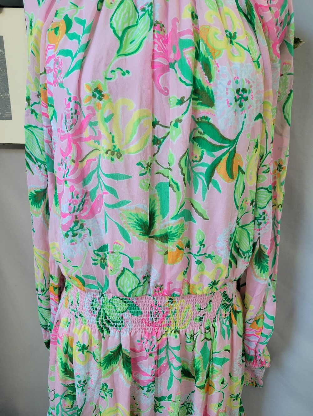 Lilly Pulitzer EllieLynn Long Sleeve Mini Dress Via Amore Spritzer 12 or 14 - Picture 6 of 14